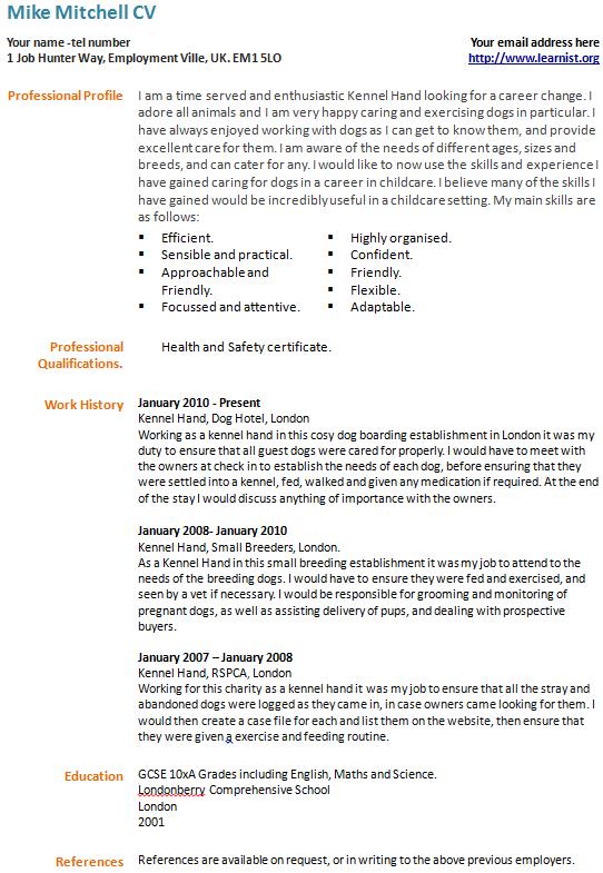 Career Change CV Example Template Learnist