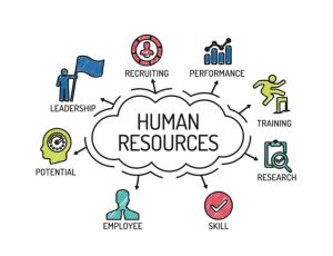 A Complete Guide On Understanding The Importance Of Human Resources In ...